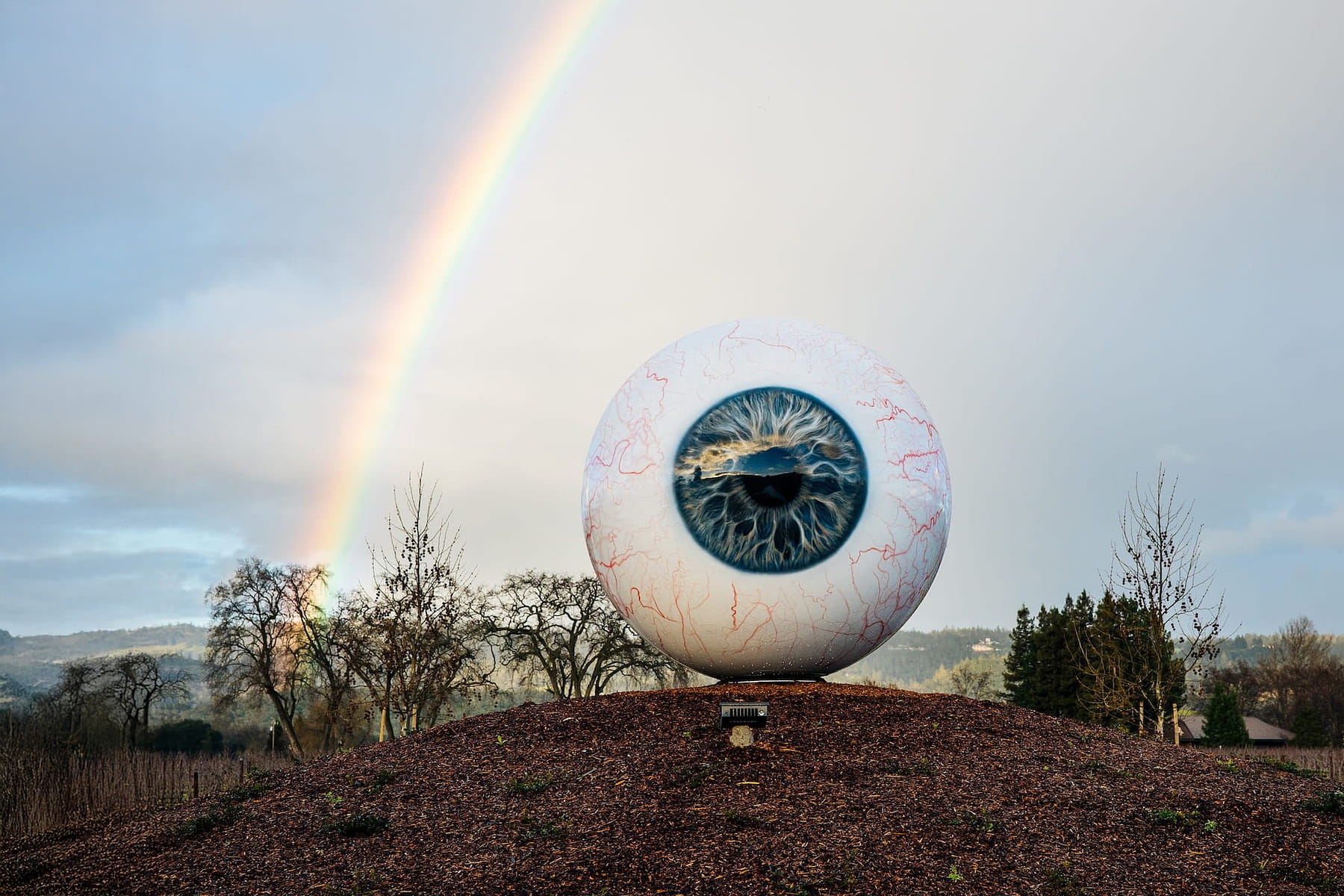 Giant eyeball sculpture with rainbow in background.