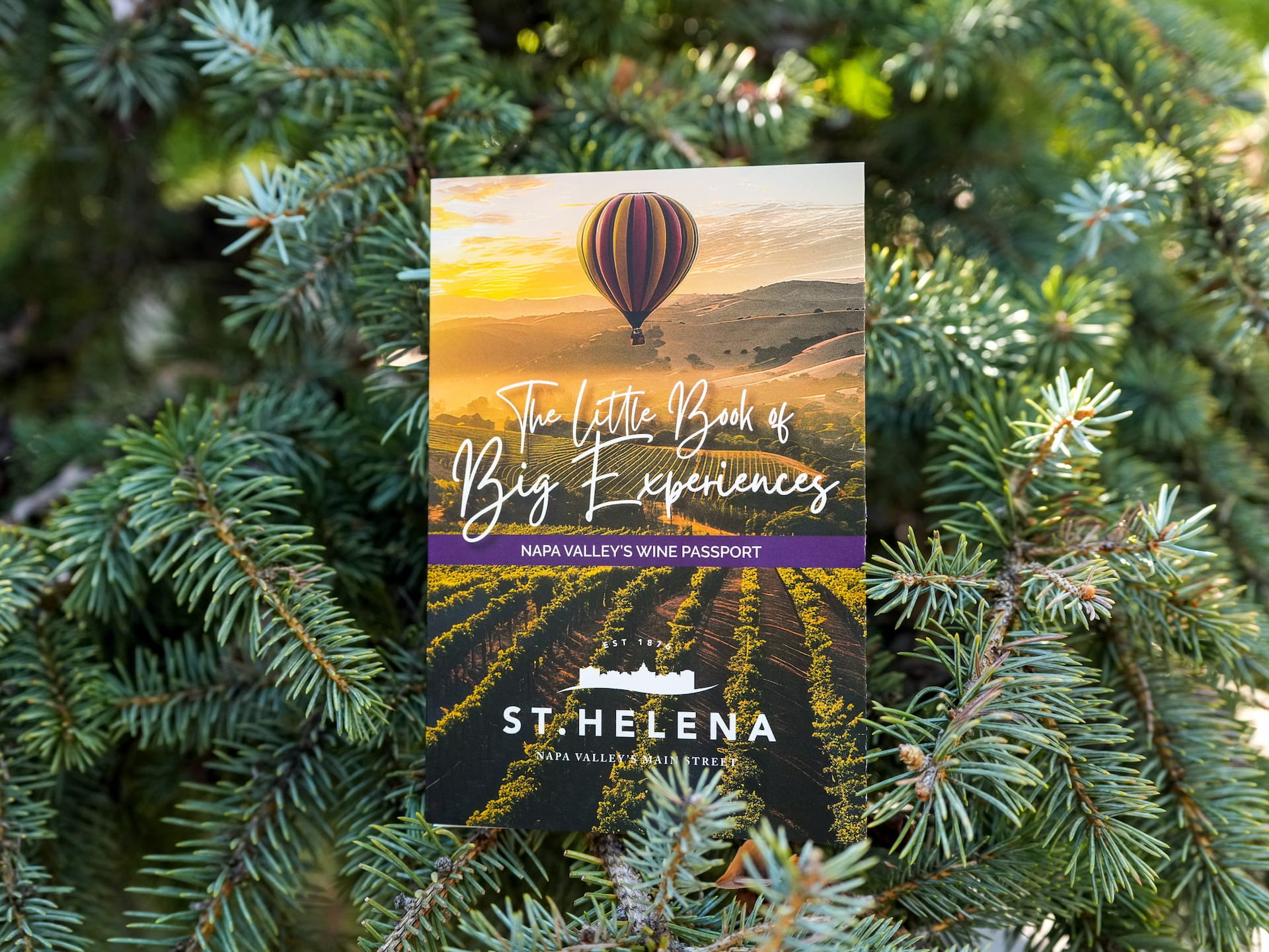 Napa Valley wine passport brochure in pine branches.