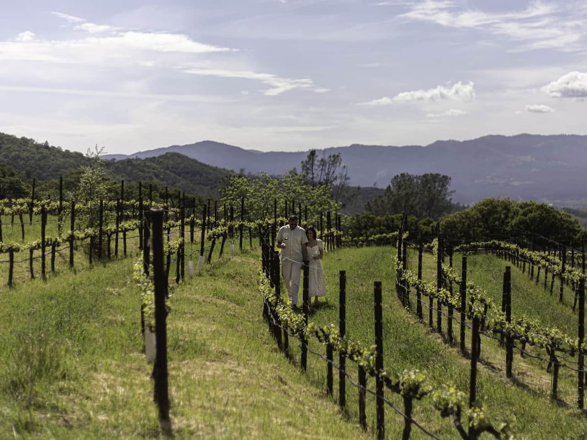 Couple walking in scenic vineyard with mountain views.