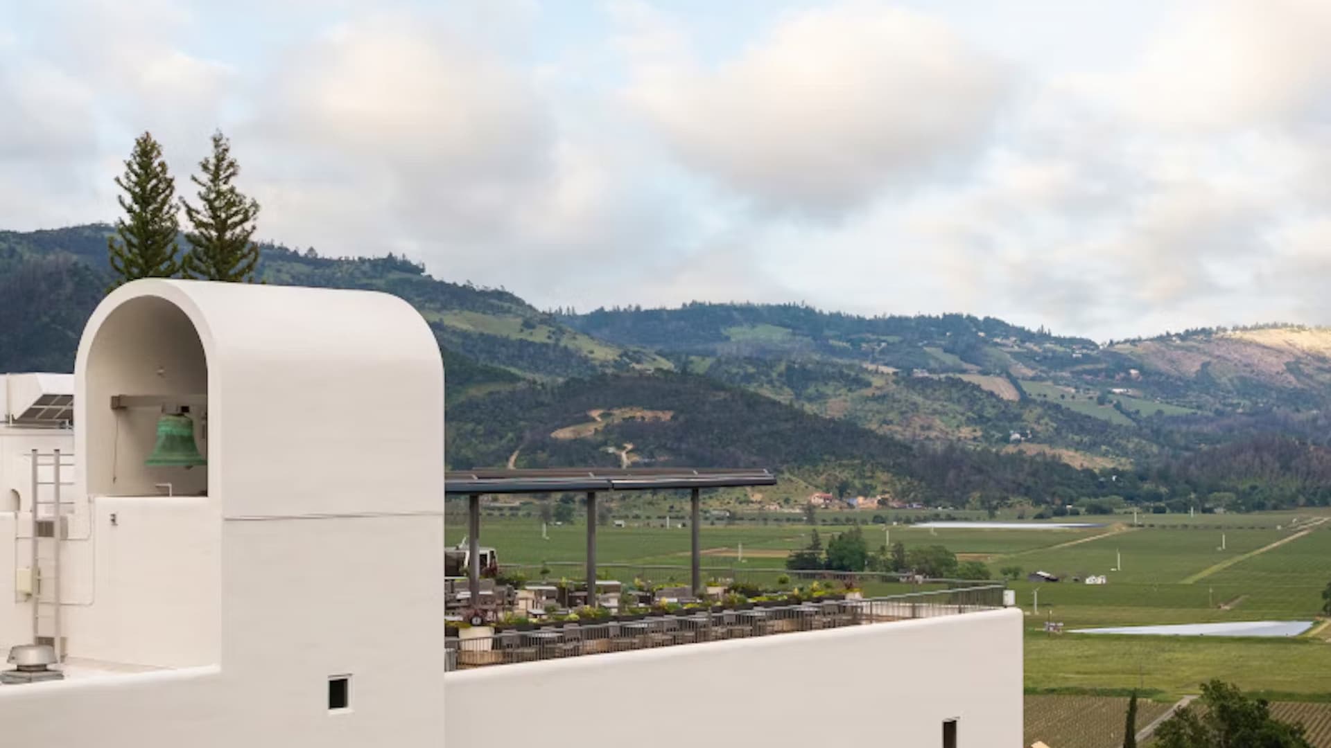 Scenic view of vineyard and mountains.