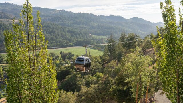 Cable car over lush green vineyard landscape.