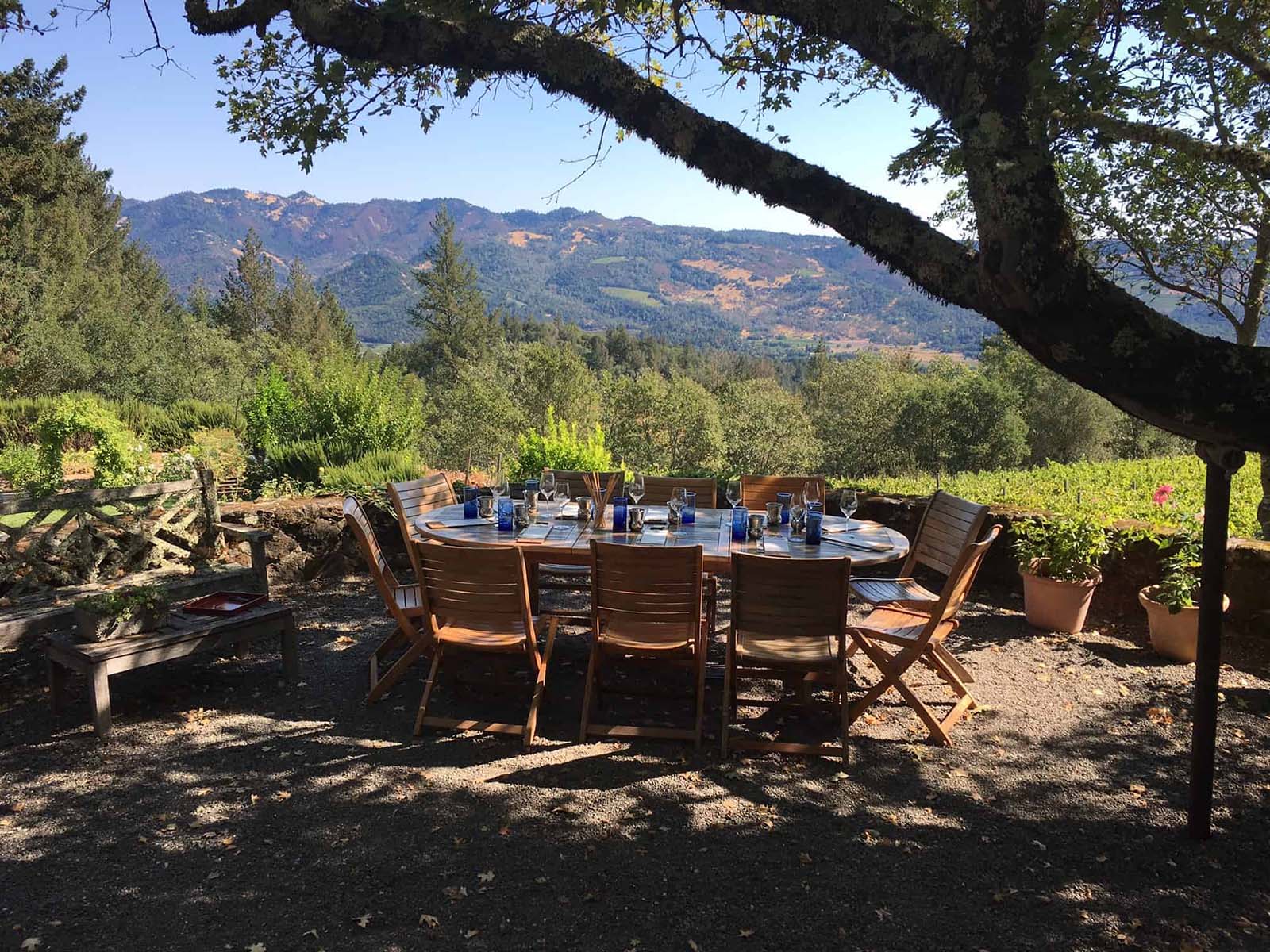 Outdoor dining table with mountain view