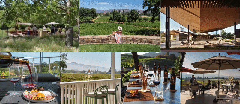 Winery vineyard scenes with outdoor dining and views