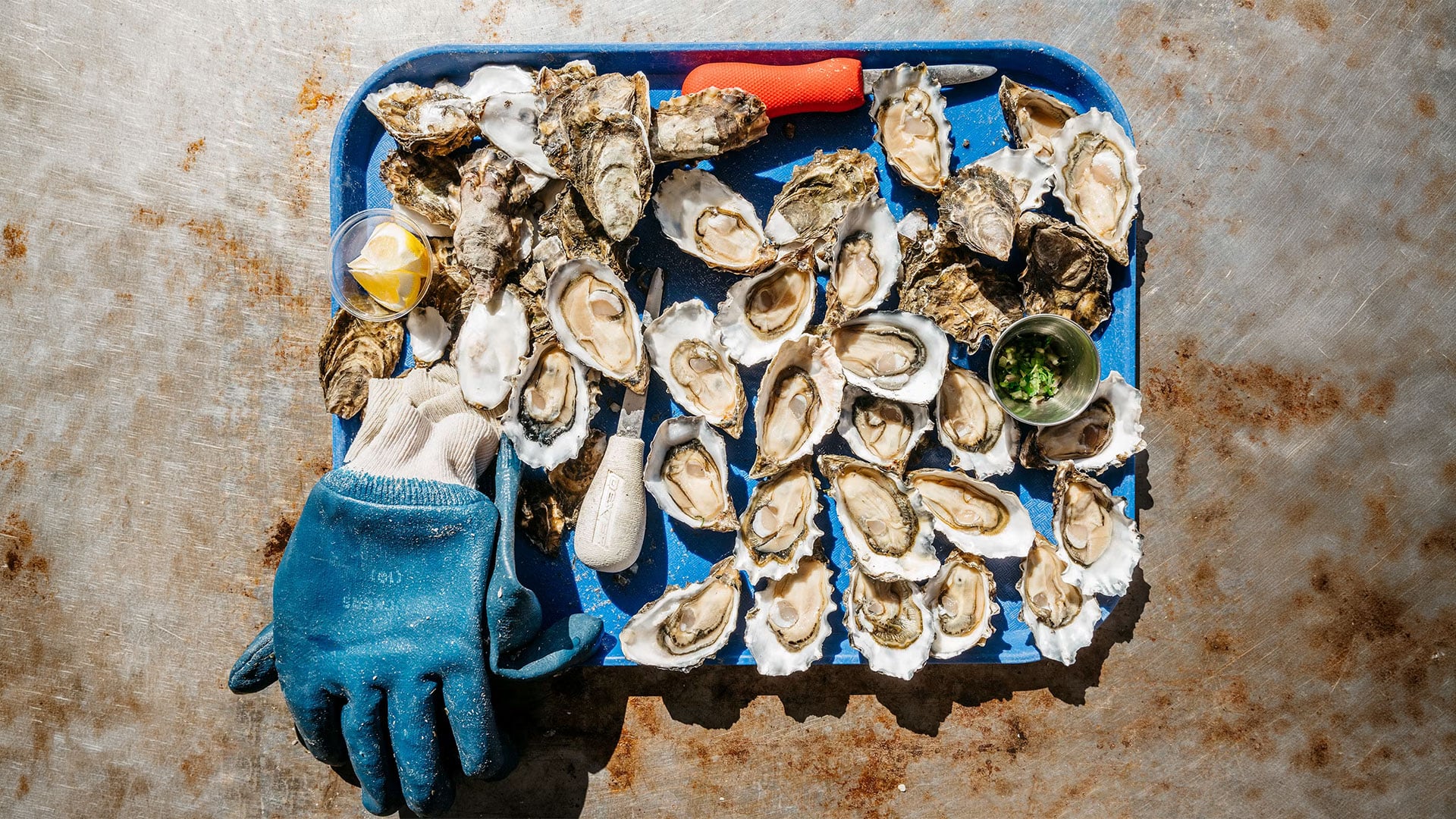 Tray of freshly shucked oysters with lemon and sauce