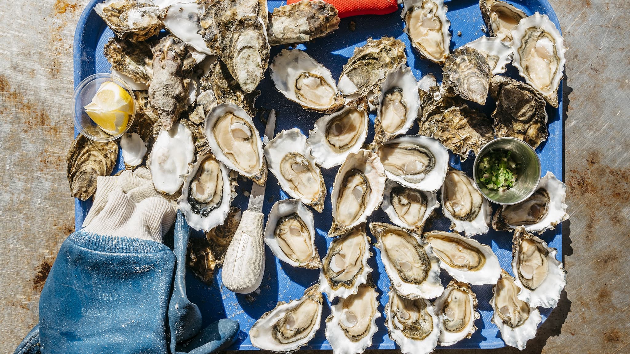 Freshly shucked oysters with lemon and herbs.