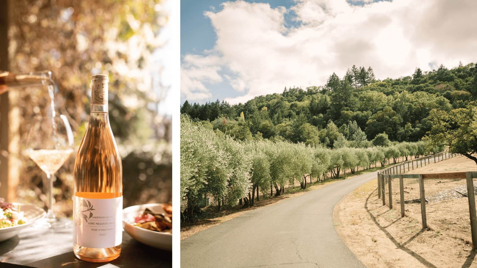 Wine bottle and scenic vineyard road view