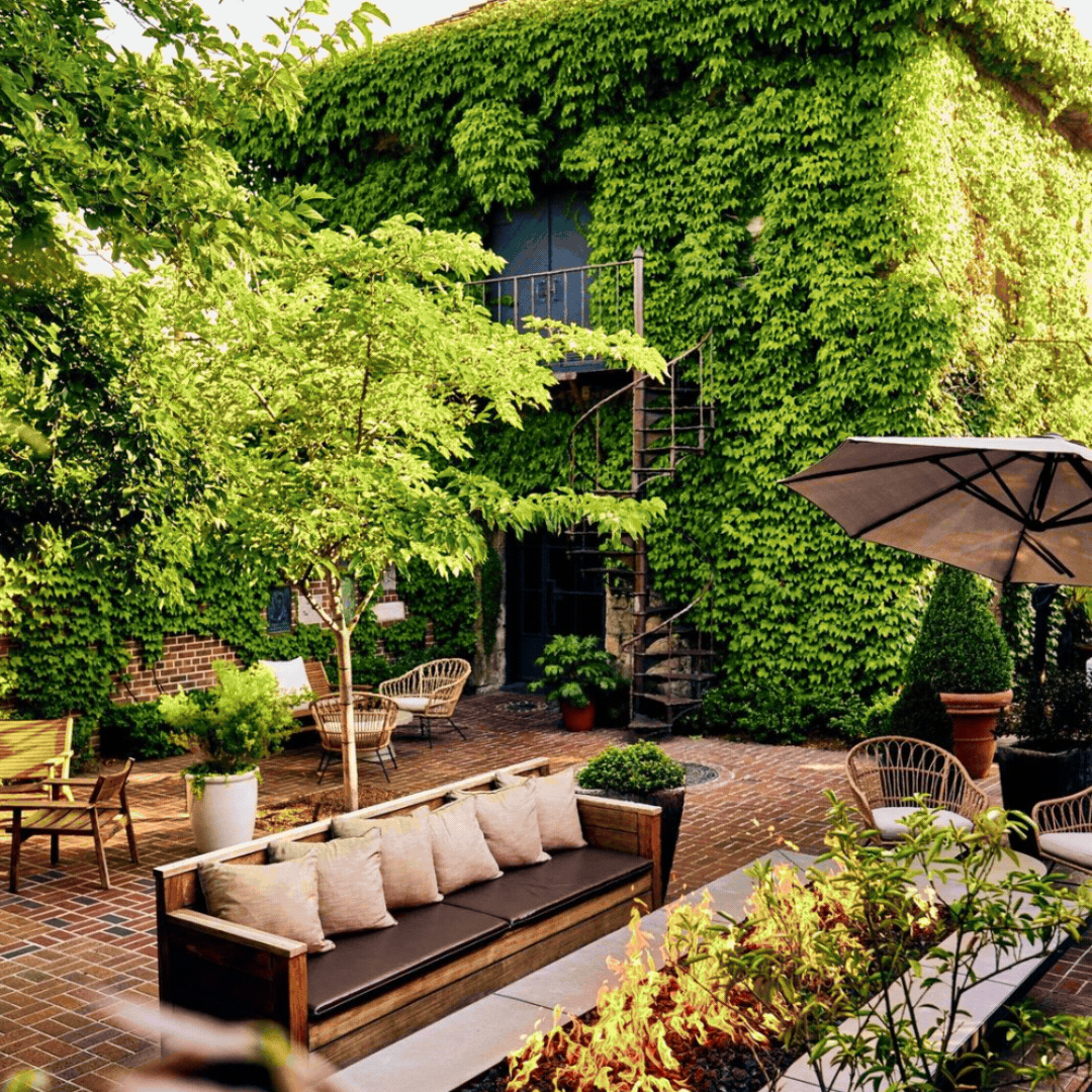 Cozy garden patio with ivy-covered walls.