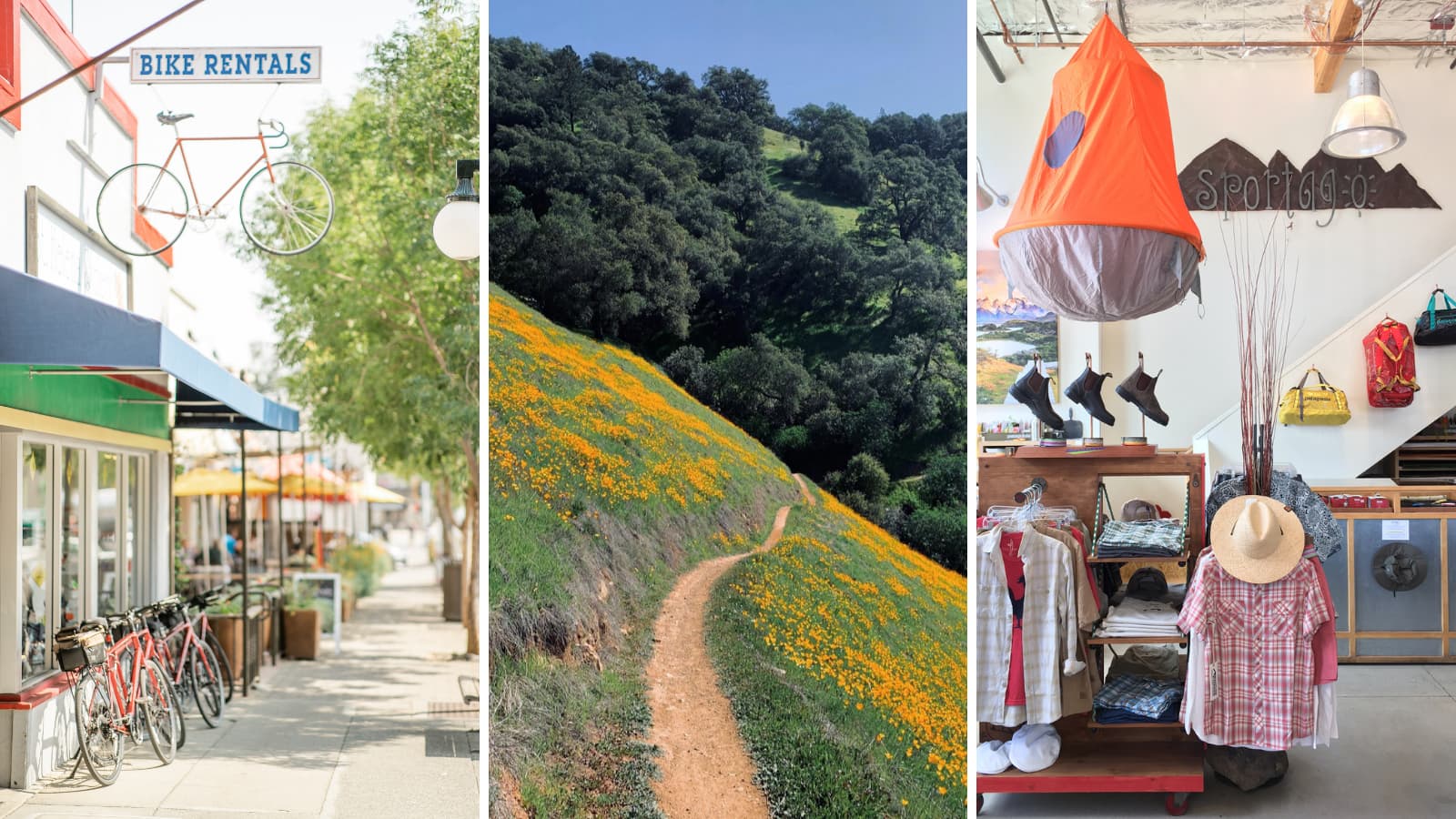 Bike rentals, hiking trail, outdoor gear store