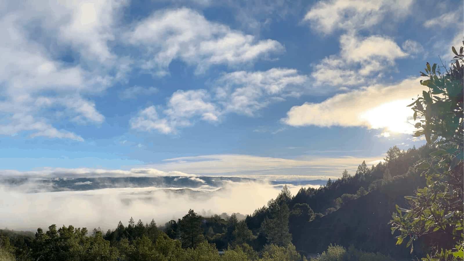 Sunny mountain landscape with clouds and trees