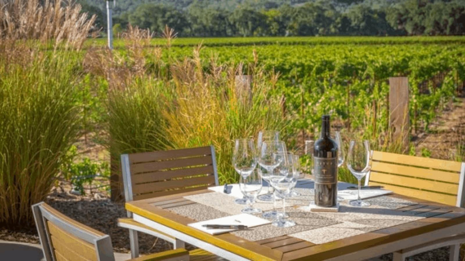 Outdoor wine table in vineyard.