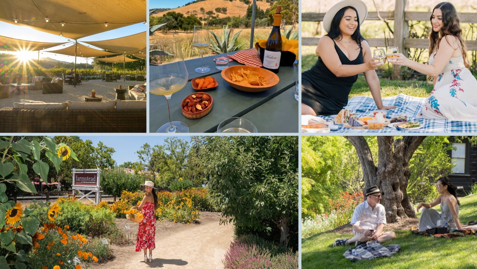 Outdoor picnic and vineyard scenes for wine tasting experience.