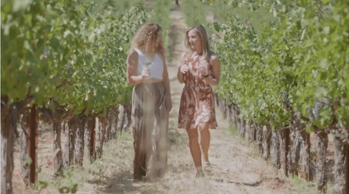 Two women walking through a sunny vineyard