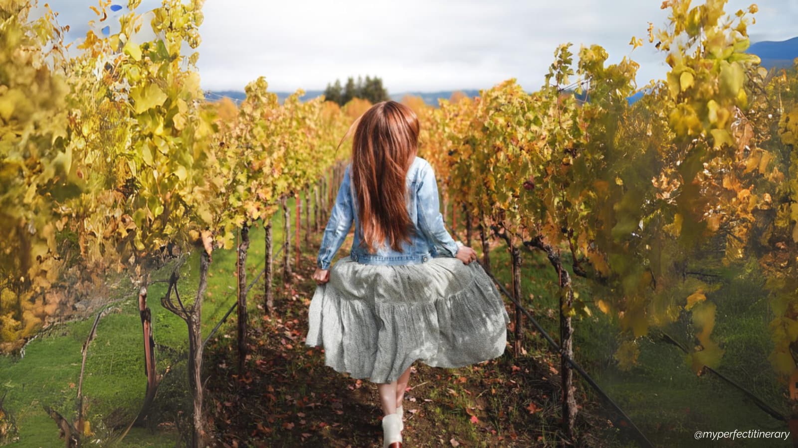 Woman walking through autumn vineyard