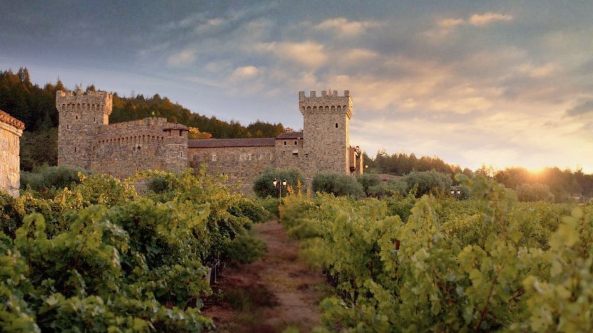 Stone castle overlooking vineyard at sunset