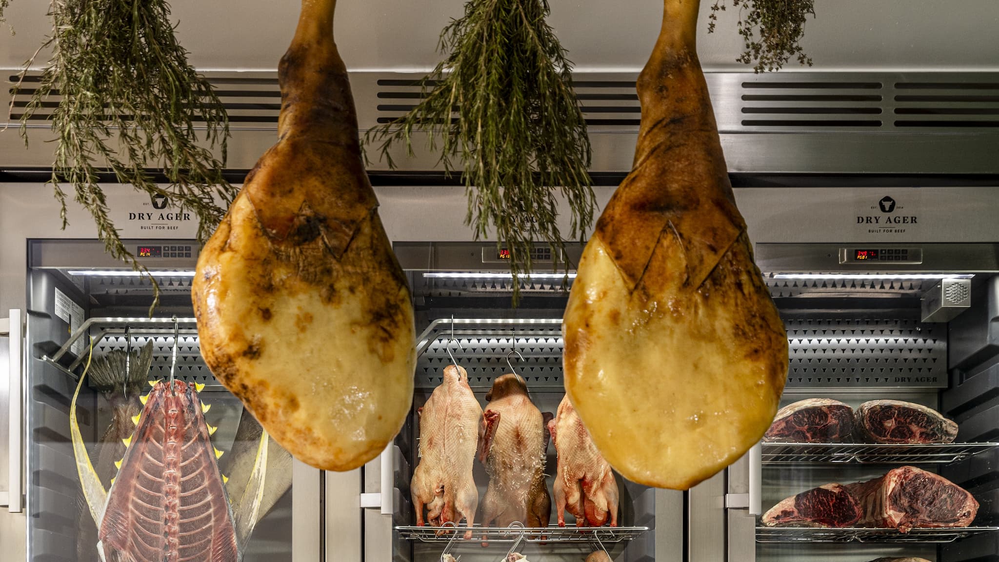 Cured ham legs hanging in dry aging room
