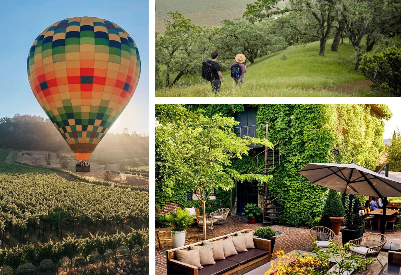 Colorful hot air balloon above vineyard landscape.