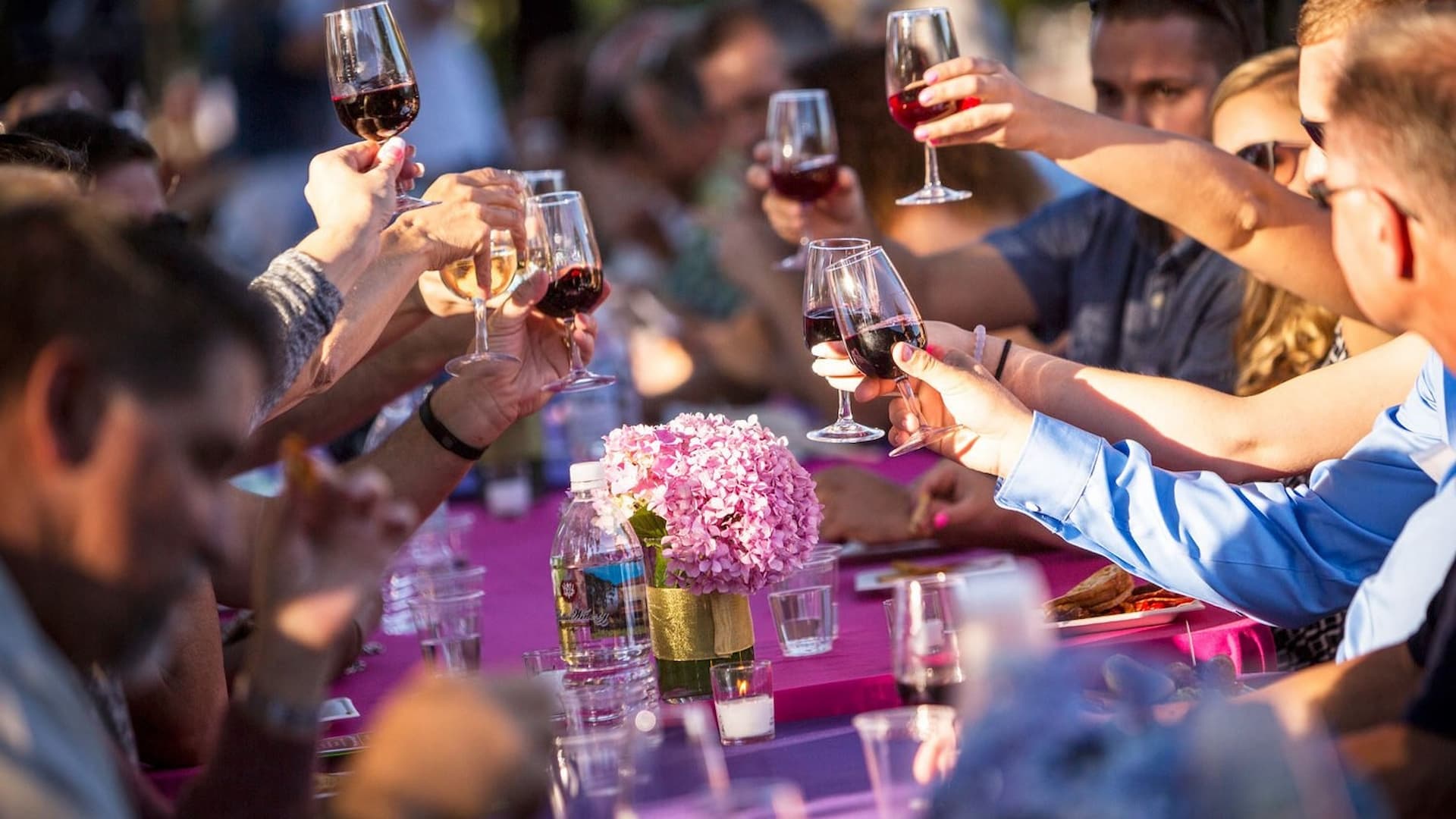 Group toasting with wine at outdoor event