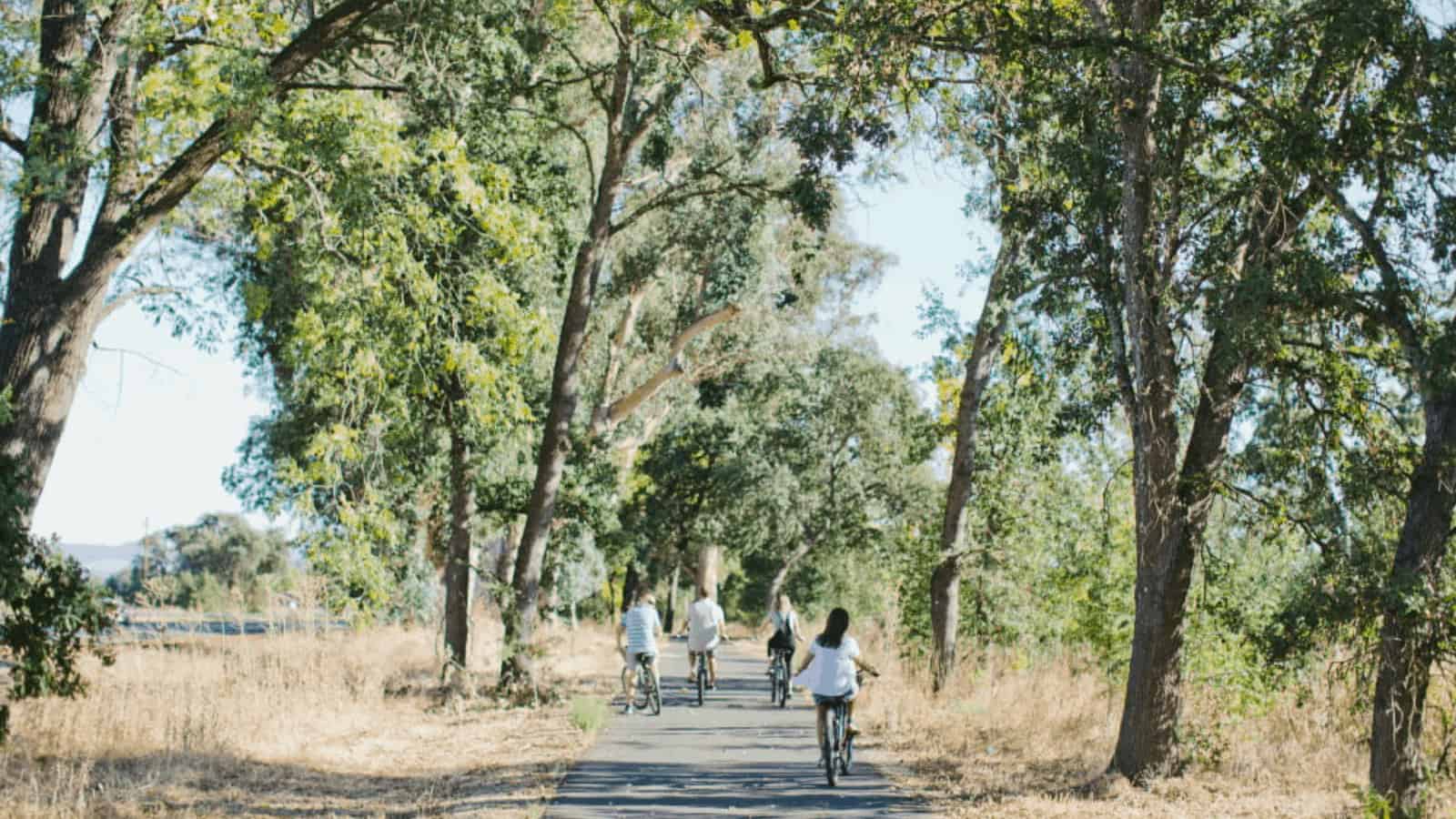 Group biking on forest path
