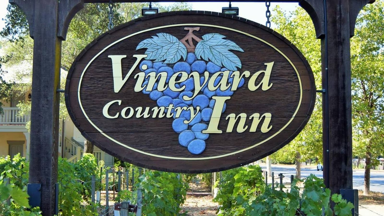 Vineyard Country Inn sign with grapevine