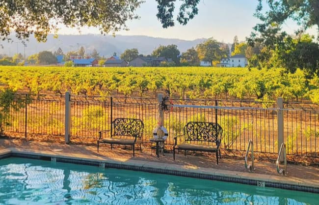 Poolside benches overlooking sunlit vineyard and hills