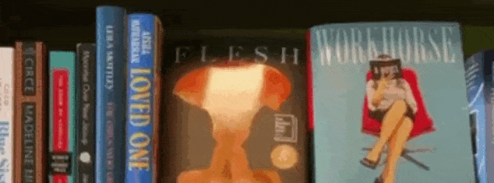Bookshelf with assorted novels including Flash and World War Z