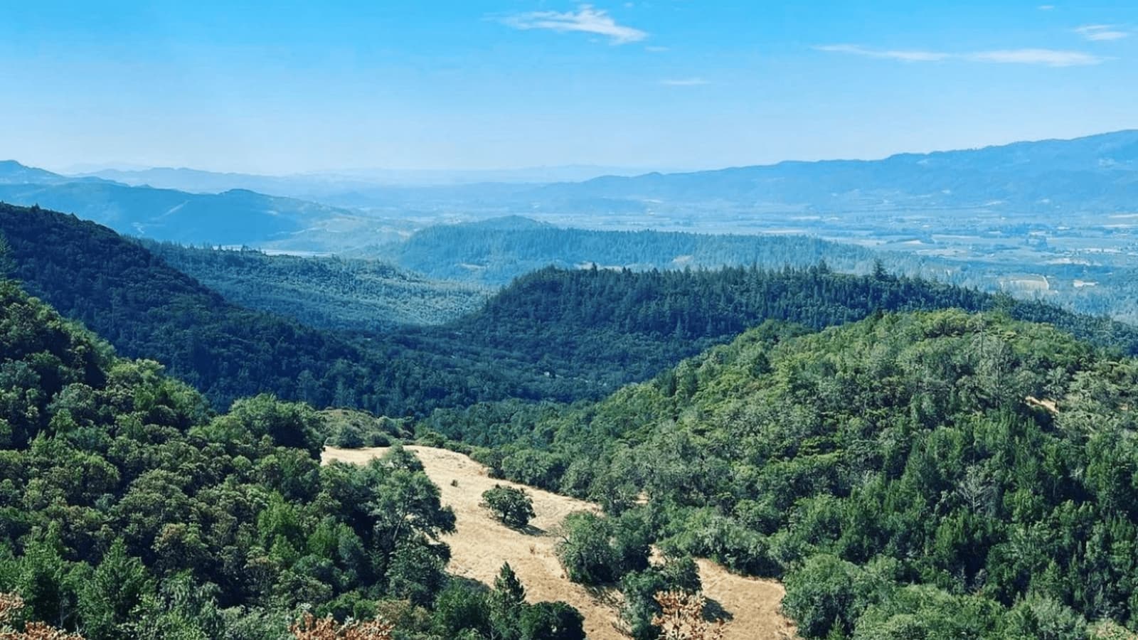 Scenic view of lush green forested mountains