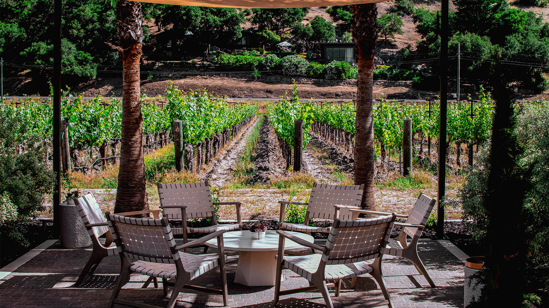 Patio seating overlooking lush vineyard rows