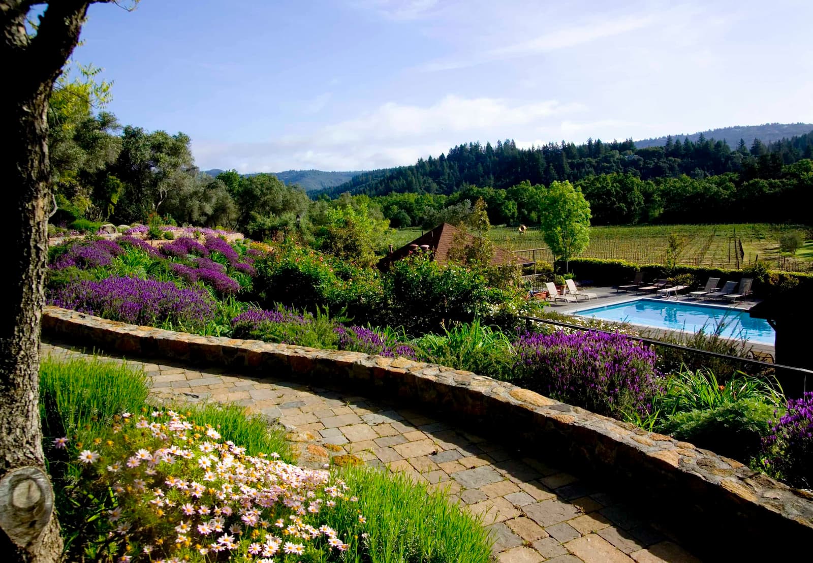 Beautiful garden with pool and scenic mountain view.