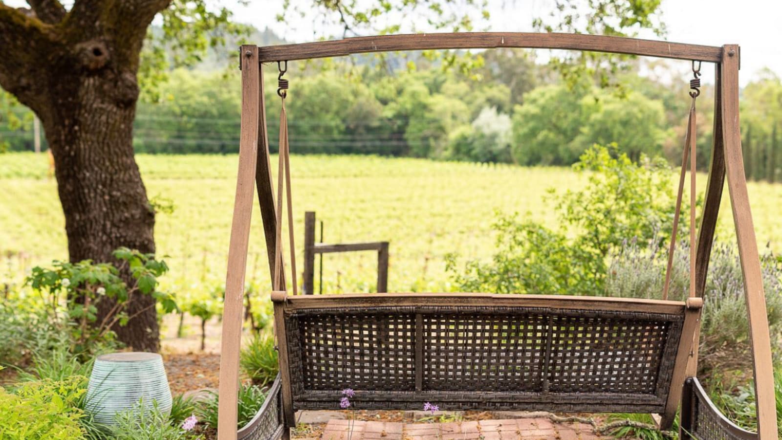 Wooden swing overlooking vineyard landscape.
