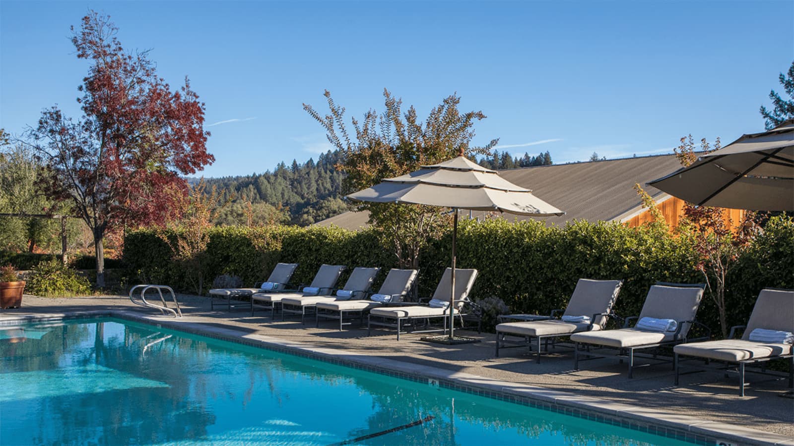 Outdoor pool with loungers and umbrellas