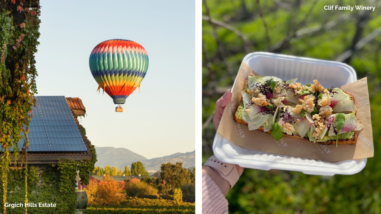 Hot air balloon at vineyard with gourmet food.