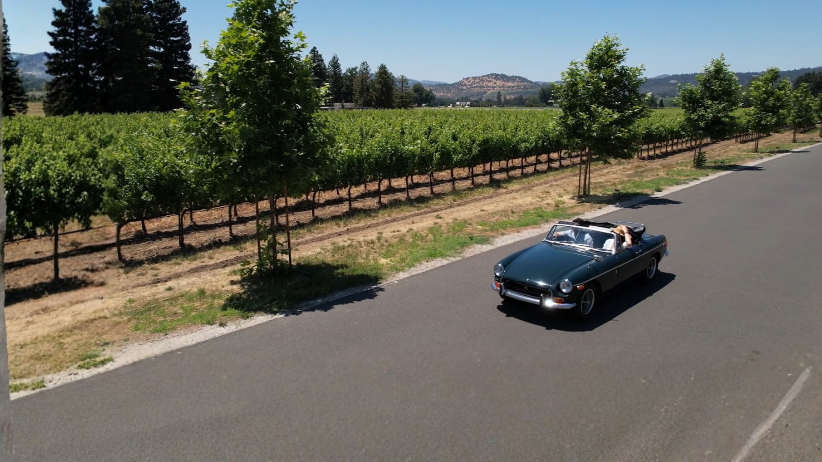 Vintage convertible driving beside vineyard on sunny day