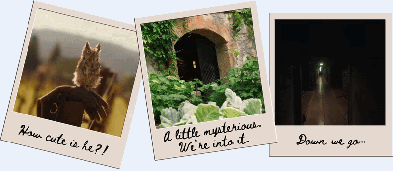 Three Polaroids show a mouse, hidden doorway, and dark hallway.