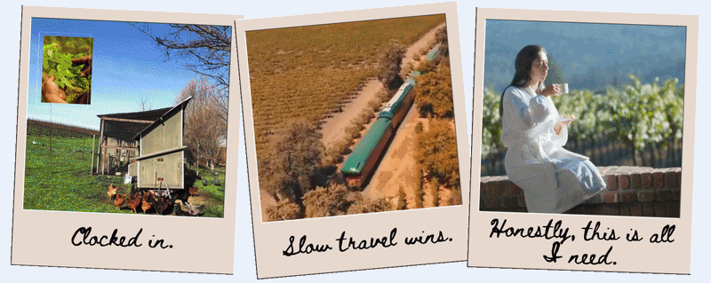 Three Polaroids showing farm life, train travel, and relaxation