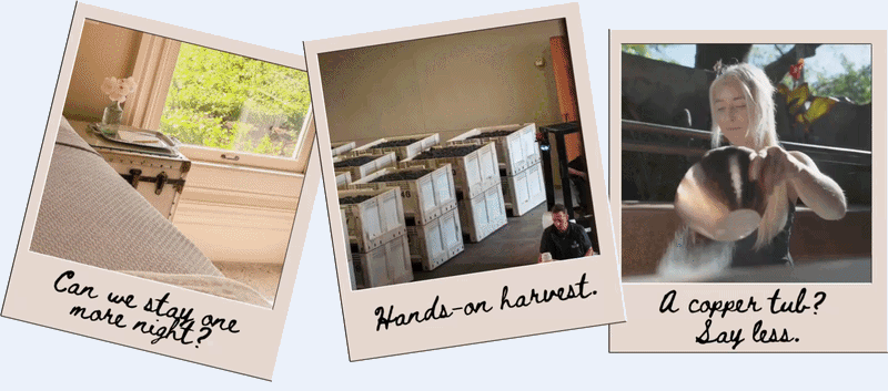 Three Polaroid photos show cottage, harvest crates, and copper tub.