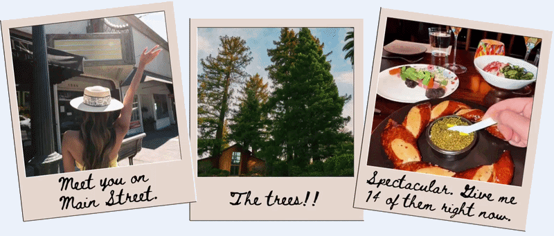 Three Polaroids: woman, trees, and restaurant meal