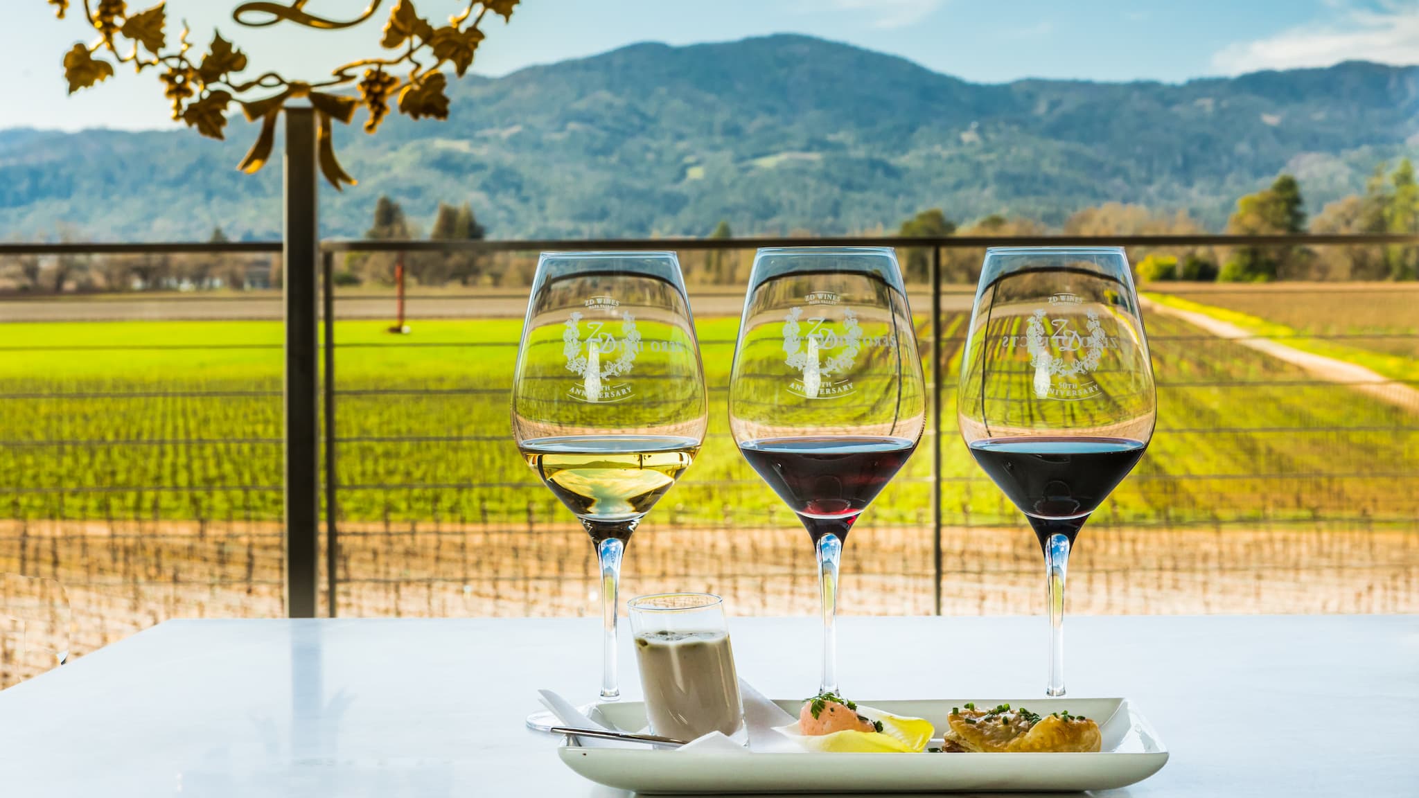 Wine glasses with vineyard view